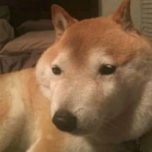 Meet your Posher, Camille